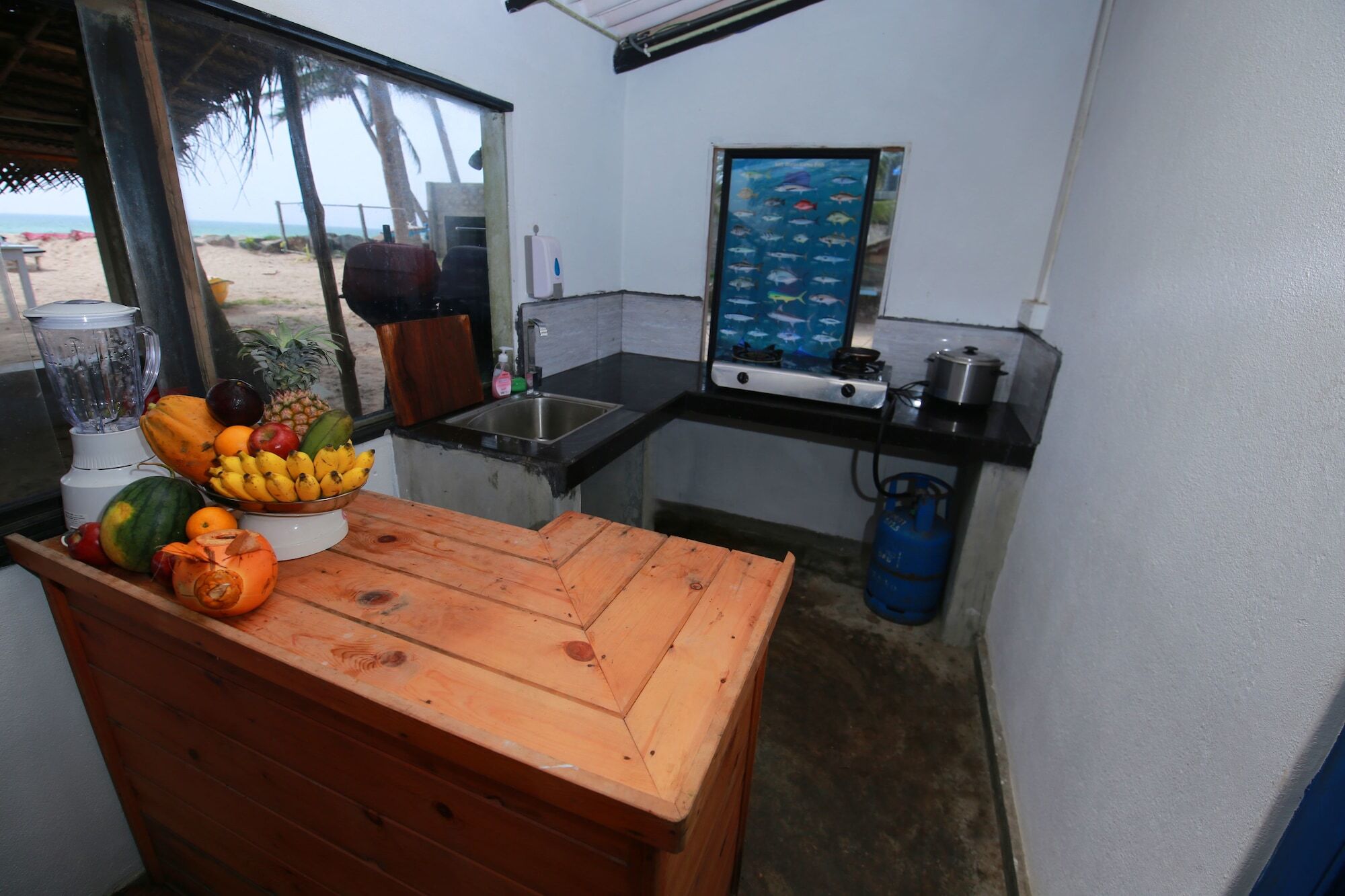 Hostel Bluefin Adventure And Deep Sea Fishing Hikkaduwa Exterior foto